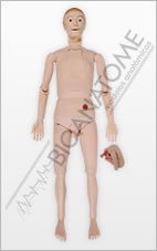 Manequim de enfermagem Bissexual com &Oacute;rg&atilde;os Internos